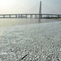 Tiandzine netoli sprogimo vietos nugaišo tūkstančiai žuvų