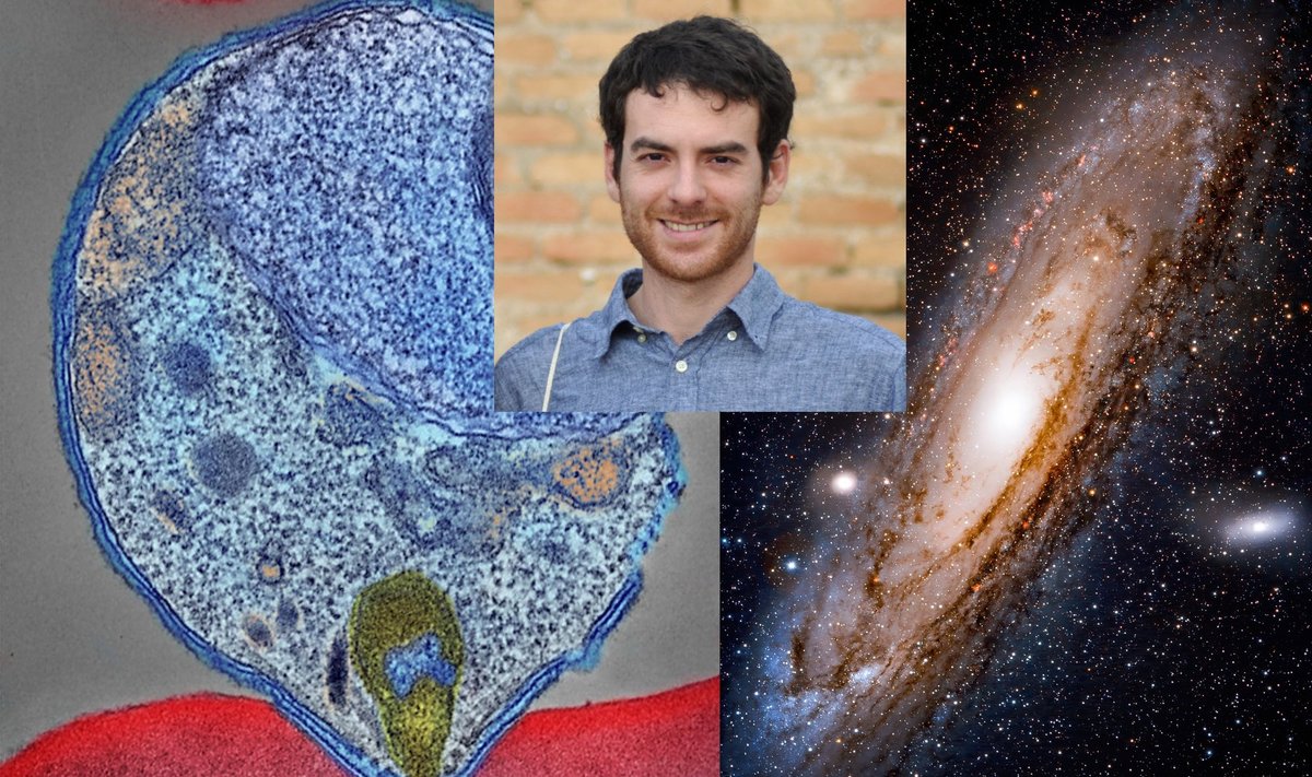 Arnau Pujol Vallribera yra ispanų duomenų žinovas, tyrinėjęs galaktikas. Dabar jis seka uodų platinamas ligas. PHIL/NIAID/Asmeninio archyvo nuotr.