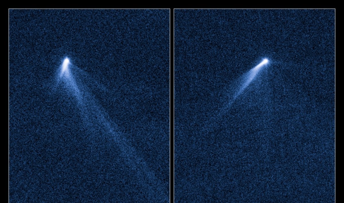 Šešiauodegė kometa P/2013P5 