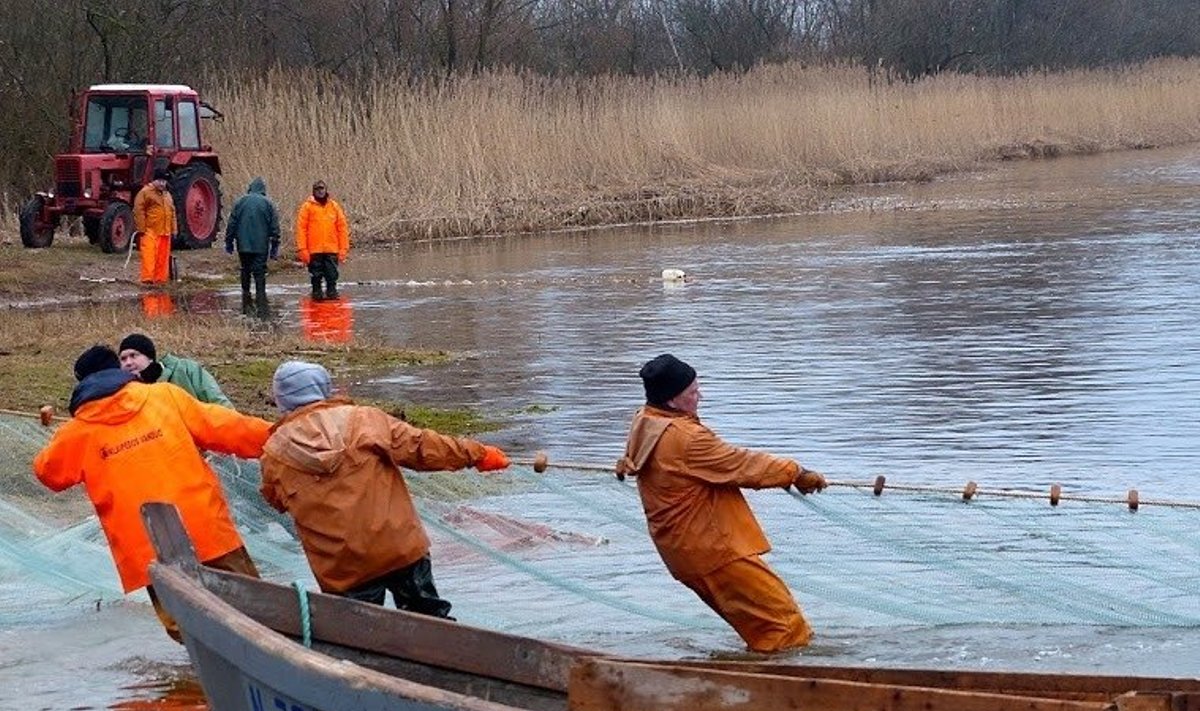 Stintų žvejyba kol kas nesėkminga