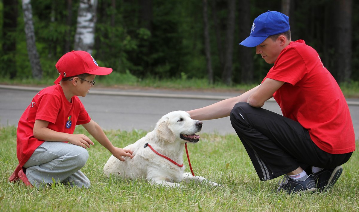 Jaunųjų ugniagesių mokymai su šunimis