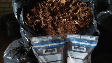 Lithuania becoming home to illegal tobacco processors, officials warn