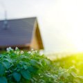 Lithuanian government to spend €1m on making homes energy efficient