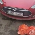 Kazachai renkasi „Tesla“: ar telpa avis bagažinėje?