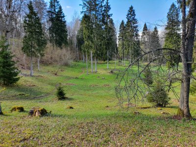 Mošos archeologinis draustinis