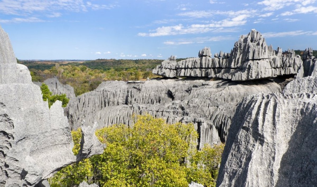 Tsingi de Bemaraha gamtos rezervatas Madagaskare