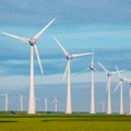 Lietuvos regionuose vystoma vėjo energetika kuria naujas darbo vietas – atlyginimai siekia 3 tūkstančius eurų