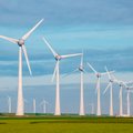 В Литве открыт самый большой в странах Балтии парк ветряных электростанций