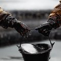 Naftos kainos: ar permainos ant nosies?