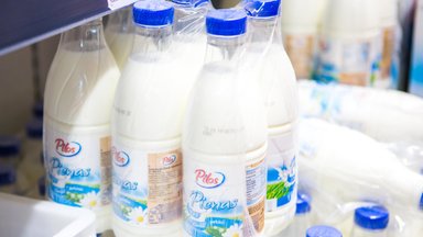 Pieno supirkimo kainos šiemet neturėtų būti didesnės nei pernai