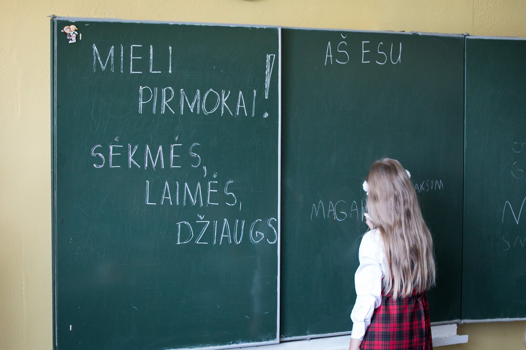 Priėmimas į Vilniaus mokyklas kelia rimtų klausimų - Delfi