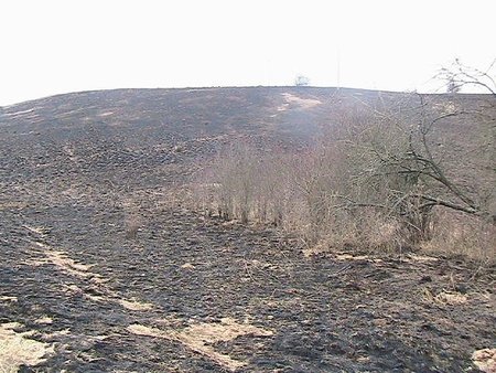 Nieko naujo po Saule - nedeginti dar nemokame