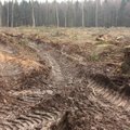 Nelegaliems miško kirtėjams skirta 34 tūkst. eurų baudų