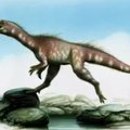 Atrasta dinozaurų rūšis atskleidžia kai kurias evoliucijos paslaptis