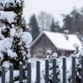 12 darbų, kuriuos namų savininkai kiekvieną žiemą pamiršta