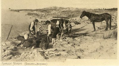„Nerijos pabaisa“ bando praryti, o žmonės – gelbėti arklį. Kiaurasmėlis – ne legenda, o realiai egzistavęs ir retkarčiais iki šiol pasitaikantis pamario reiškinys. 1900–1910 m. atvirukas.