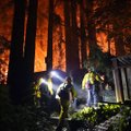 Kalifornijoje toliau plintant gaisrams evakuojami dešimtys tūkstančių gyventojų