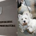 Jurbarkietis sės ant teisiamųjų suolo – nusprendė pašalinti šunų balso stygas, kad šie nelotų
