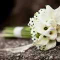 Vestuvinės puokštės: mados tendencijos ir praktiški floristės patarimai