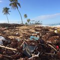 Tyrimas parodė, kad plastikas vandenynuose atsiduria ne iš sausumos, o išmestas iš laivų