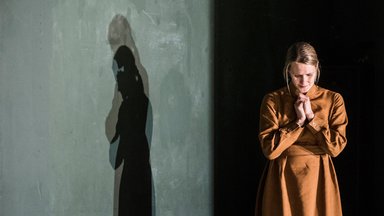"Одинокий человеческий голос": сила женщины в спектакле от Вильнюсского старого театра