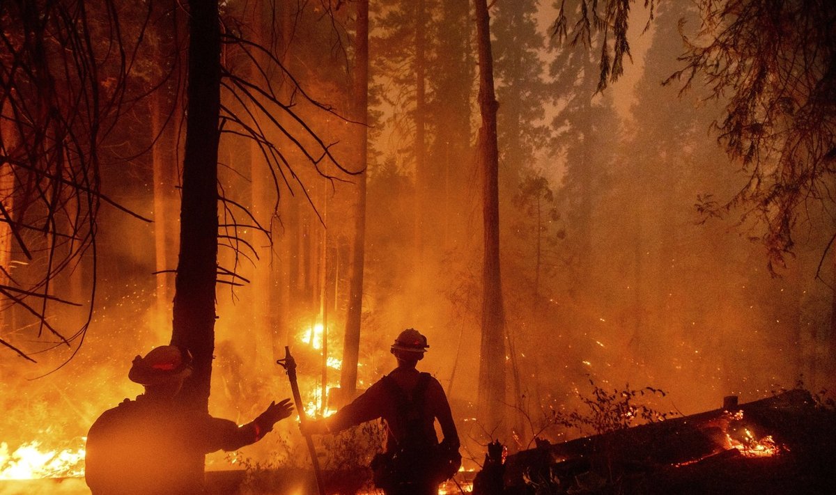 Miškų gaisrai Kalifornijoje