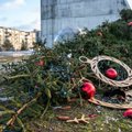 Ветер стал Гринчем для жителей Литвы: упала елка в Мариямполе и в одном вильнюсском микрорайоне