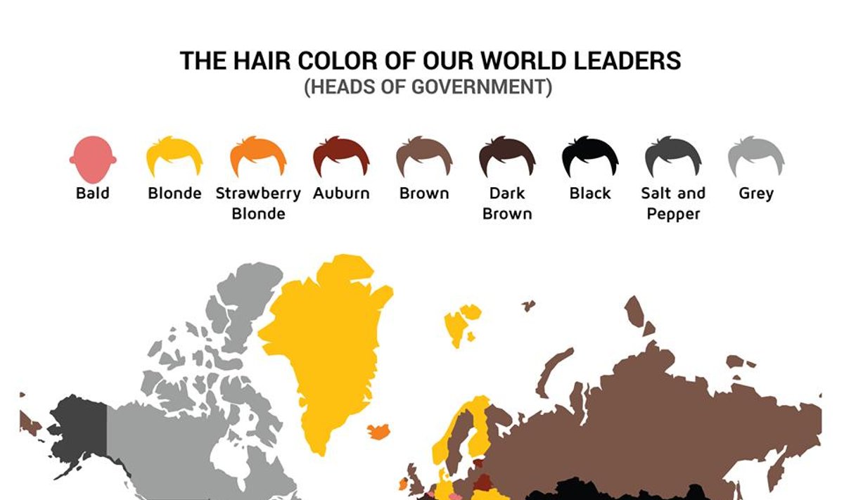 Kolor włosów liderów państw. Foto: http://dadaviz.com/