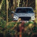„Bentley Bentayga V8“ pripažintas geriausiu prabangiu visureigiu