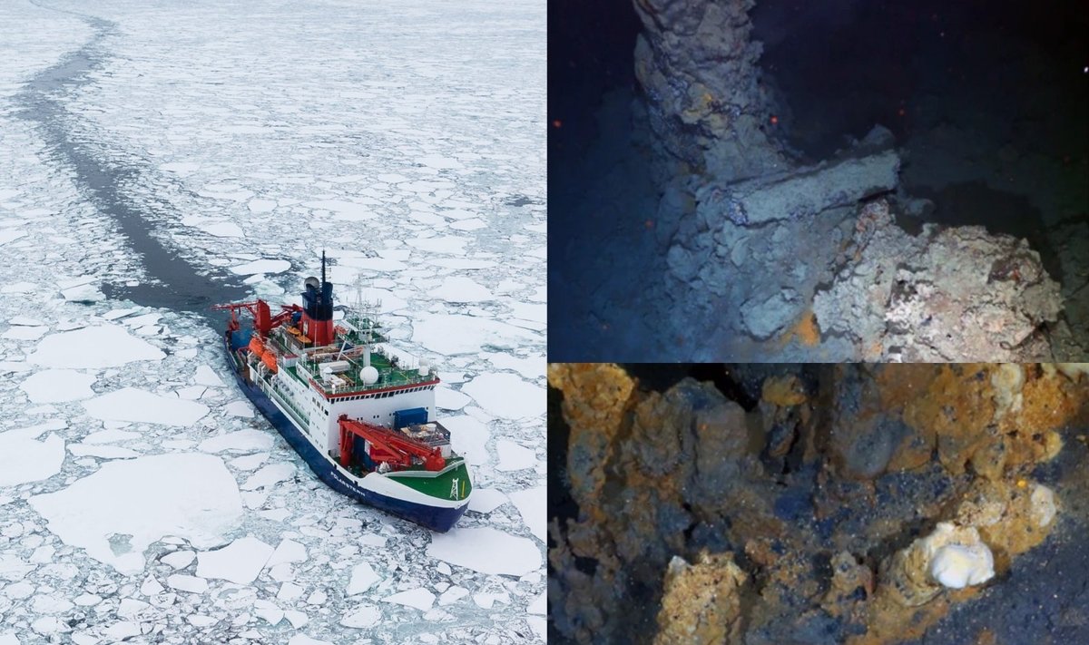 Po ledu padengtu vandenynu egzistuojanti hidroterminių versmių zona yra vienas iš reikšmingiausių šio misijos atradimų. Alfred Wegener Institute/Scanpix nuotr.