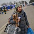 Ukrainos gyvūnai – tragiškoje padėtyje: pagalba organizuojama ir iš Lietuvos
