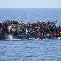 Prie Libijos krantų išgelbėta per 700 migrantų