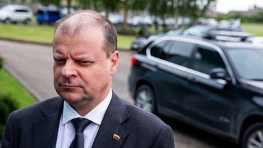 Skvernelis to lead Farmers and Greens' list in election