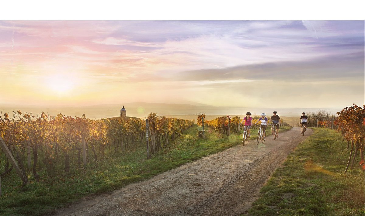 Outstanding landscapes and bicycle routes in Southern Moravia   Photo Courtesy of Czech Tourism