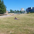 Panevėžietę suglumino vaizdai miesto parke: moteris pusnuogė deginosi šalia vaikų žaidimų aikštelės