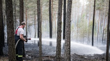 Su Lietuva besiribojančioje Palenkės vaivadijoje kilo didelis miško gaisras