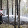 Miškų gaisringumas šalyje siekia aukščiausią lygį: miškininkai turi vieną prašymą lietuviams