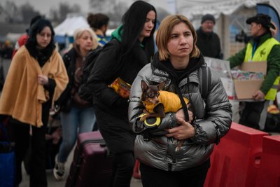 Ukrainos karo pabėgėlė su šunimi, asociatyvi nuotr.