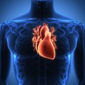 Širdies nepakankamumas gresia vienam iš penkių, sulaukusių 40 metų: svarbu žinoti pagrindinius simptomus