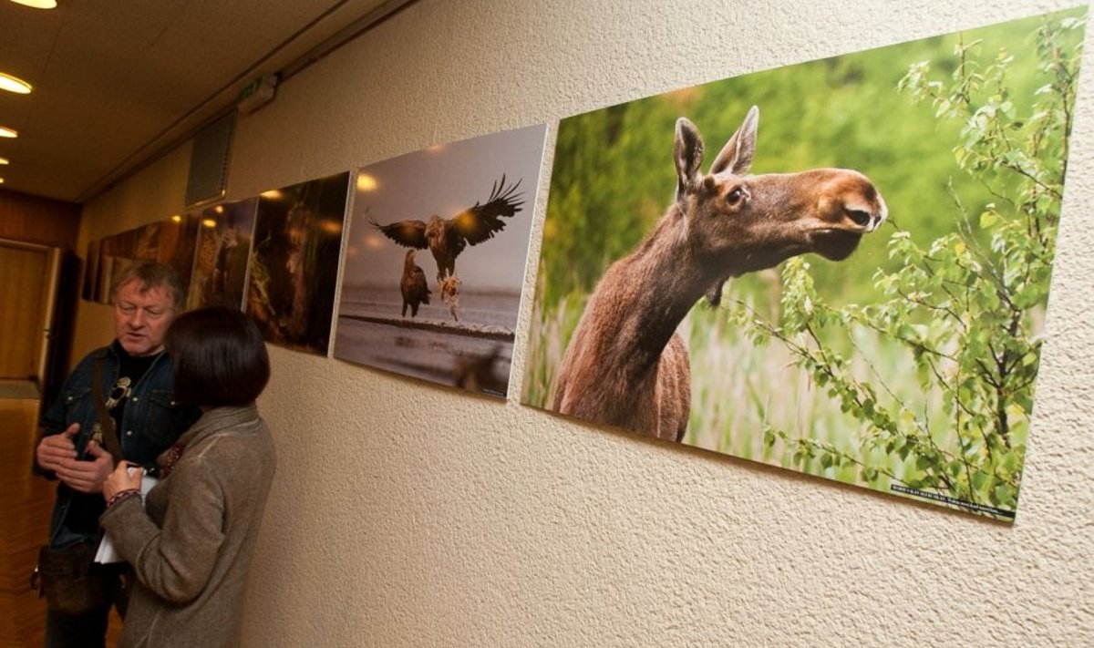 Lietuvos laukinės gamtos fotografijų konkurso "Gintarinis žaltys 2011" apdovanojimai