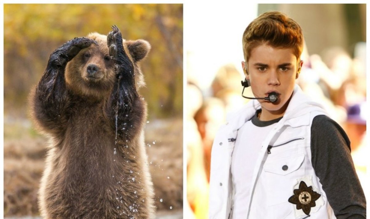 Justinas Bieberis ir rudasis lokys