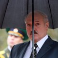 Обозреватель: визиты Лукашенко похожи на поведение при валютной лихорадке