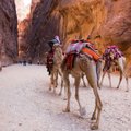 Prarastoji Petra: dykumų miestas, kuris pralobo neįtikėtinu būdu