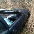 Automobilio partrenktas briedis sutraiškė „Opel“, žuvo jaunas vyras