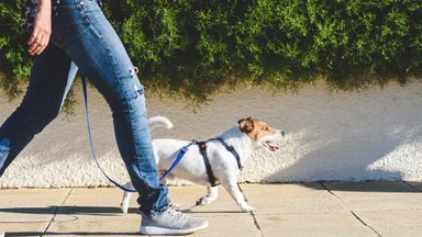 Vaikščioti sveika, bet ne kiekvienas ėjimas naudingas sveikatai: svarbūs du dalykai