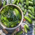 Socialinius tinklus užkariauja naujas agurkų rauginimo būdas: pakeisite vos vieną įprastą ingredientą, o rezultatas – stulbinantis