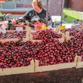Цены на ягоды в Литве поражают покупателей: люди берут польские товары