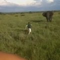 Nufilmuota, kaip įkaušęs turistas mėgino užpulti dramblį