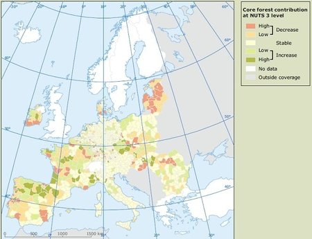 Europos aplinkosaugos agentūros duomenimis, Lietuvoje miškų plotai mažėja