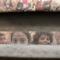 Izraelio ambasadorius JT: palestiniečių vaikai mokomi, kaip žudyti žydus